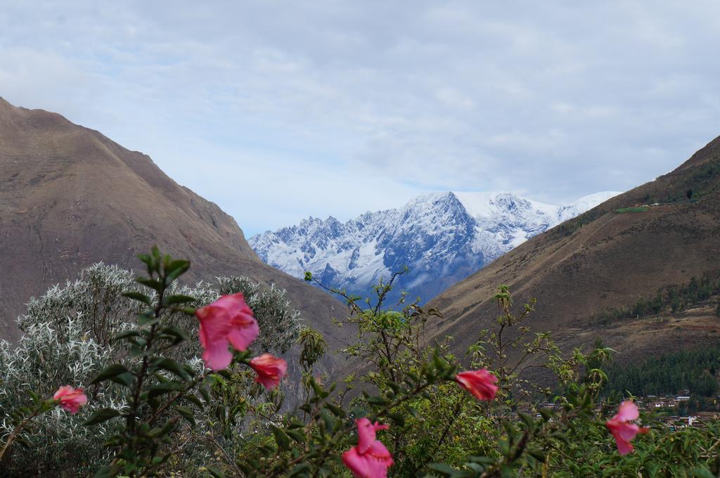 Ccapac Inka Ollanta Casa Museo Hotel โอยานไตตามโบ ภายนอก รูปภาพ